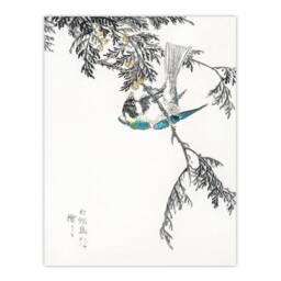 Artery8 Kashu Framed Wall Art Print Great Tit & Japan Cypress Japan - Size: A4 - thumbnail 3
