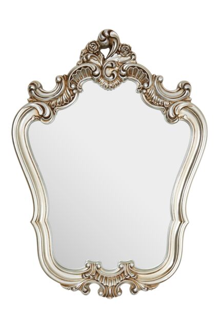 Orsina Elegant Champagne Finish Rose Crest Wall Mirror, Light Enhancing Hallway Mirror, Functional Wall Mirror in Gold - image 1