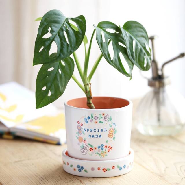 Lisa Angel Women's Floral Nana Planter & Tray in White - image 1
