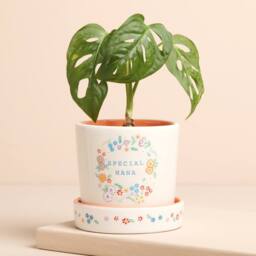 Lisa Angel Women's Floral Nana Planter & Tray in White - thumbnail 2