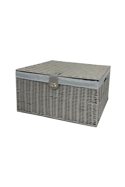 Clarisworld Resin Woven Hamper Basket Storage Chest Trunk Hamper/Kids Toy with Lid, Lock & Removable Lining in Grey - image 1