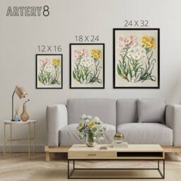"Artery8 New Zealand Snow Groundsel Flowers Featon Framed Canvas Wall Art Print in Beige - Size: W18"" x H24""" - thumbnail 4