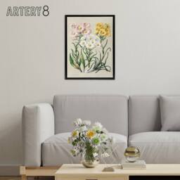 "Artery8 New Zealand Snow Groundsel Flowers Featon Framed Canvas Wall Art Print in Beige - Size: W18"" x H24""" - thumbnail 3