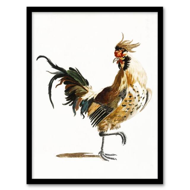 Artery8 A Rooster Watercolour Painting Johan Teyler Framed Wall Art Print in White - Size: A4 - image 1