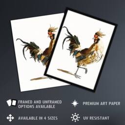 Artery8 A Rooster Watercolour Painting Johan Teyler Framed Wall Art Print in White - Size: A4 - thumbnail 2
