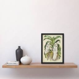Artery8 F Sander Saccolabium Giganteum Orchid Flowers Framed Wall Art Print - Size: A4 - thumbnail 4