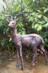 Inspirational Gifting Standing Stag Buck Ornament cast from Aluminium Extra Large in Bronze - thumbnail 2