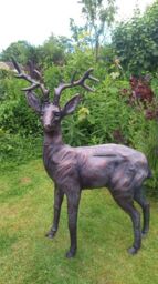 Inspirational Gifting Standing Stag Buck Ornament cast from Aluminium Extra Large in Bronze - thumbnail 3