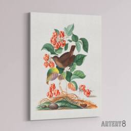 "Artery8 Eurasian Wren & Raspberry Plant Bolton Canvas Wall Art - Size: W18"" x H24""" - thumbnail 2