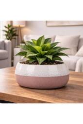 KDMD Hortus Pink & White Bordeaux Stoneware Pot 13.5cm H x 25.5cm Dia - thumbnail 4