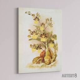 "Artery8 Frederick Sander Oncidium Tigrinum Orchid Flowers Canvas Art Print - Size: W12"" x H16""" - thumbnail 2
