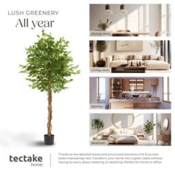 tectake Artificial Plant - Detailed & Lifelike, Ficus Tree, Low-Maintenance in Green - Size: 160 cm - thumbnail 7