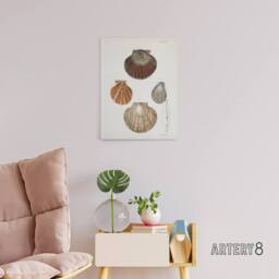 "Artery8 James Ellsworth De Kay Scallop Seashells Study Canvas Wall Art Print in White - Size: W12"" x H16""" - thumbnail 3