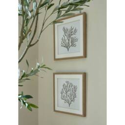 Lemon Pavilion Furniture and Decor Atol Coral Art Mounted in Beaded Frame - L2 x W40 x H40 cm - Brown - thumbnail 5