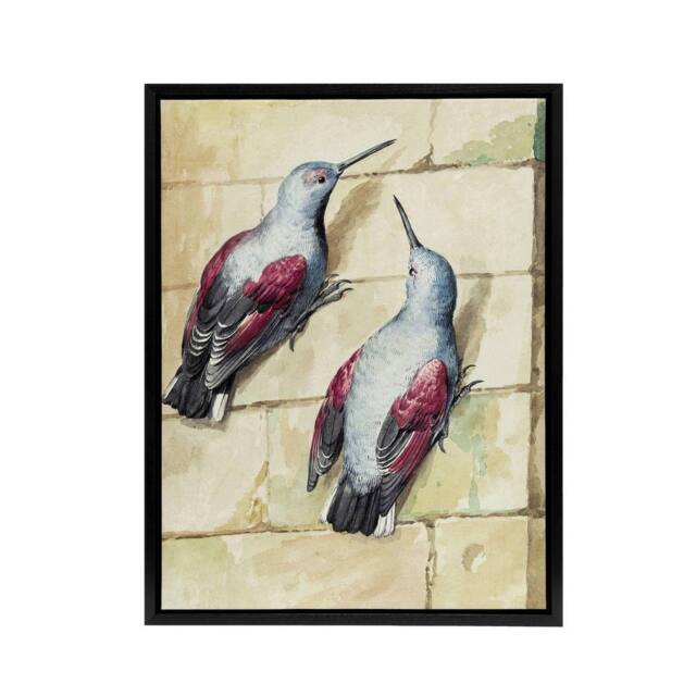 "Artery8 Two Wallcreepers Watercolour Painting Schouman Framed Canvas Wall Art in Beige - Size: W24"" x H32""" - image 1