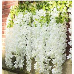 SPETLEK 24Pack White Artificial Fake Hanging Wisteria Silk Flowers Vine - Size: 0.6m2 - thumbnail 5