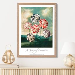 ARTZE Vintage Floral Exhibition - Carnation Flowers Framed Print SIZE: A2 with Oak Frame in Red - Size: A4 - thumbnail 2