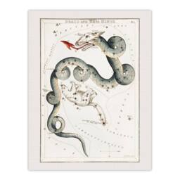 Artery8 Sidney Hall Draco & Ursa Minor Constellation Framed Wall Art Print in White - Size: A3 - thumbnail 3
