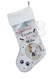 Personalised Memento Company Personalised Photo Upload Dog Christmas Stocking in Grey