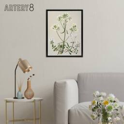 "Artery8 New Zealand White Gentiana Flowers Featon Framed Canvas Wall Art Print in Beige - Size: W18"" x H24""" - thumbnail 3