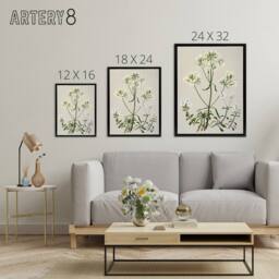 "Artery8 New Zealand White Gentiana Flowers Featon Framed Canvas Wall Art Print in Beige - Size: W18"" x H24""" - thumbnail 4