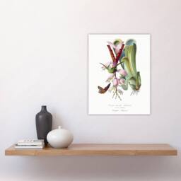 "Artery8 Paul Gervais Hummingbird Butterfly & Flower Wall Art Print in White - Size: W12"" x H16""" - thumbnail 4