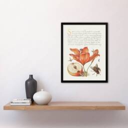 Artery8 Model Book of Calligraphy Framed Wall Art Insects Orange Lily & Apple in White - Size: A4 - thumbnail 2