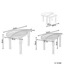 Wyld and Coco Nest of 2 Coffee Tables - Natural Rattan Leaves Design - thumbnail 3