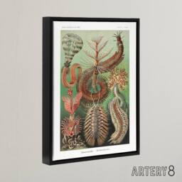 "Artery8 Chaetopoda Marine Worms Haeckel Botanical Black Framed Canvas Wall Art - Size: W12"" x H16""" - thumbnail 2