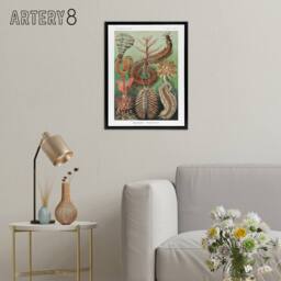 "Artery8 Chaetopoda Marine Worms Haeckel Botanical Black Framed Canvas Wall Art - Size: W12"" x H16""" - thumbnail 3