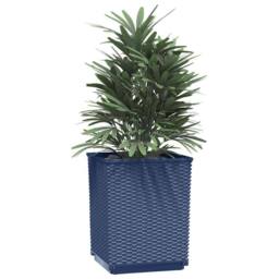 Berkfield Home Planters 2 pcs Dark Grey 30x30x37 cm Polypropylene in Dark Navy - Size: 30 x 30 x 37 cm