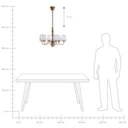 Wyld and Coco 6-Light Brass Chandelier with Emperor Acrylic Shades in Bronze - thumbnail 8