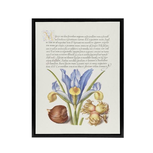 "Artery8 Iris Flower & Hazelnut Calligraphy Framed Canvas Wall Art Print in White - Size: W12"" x H16""" - image 1