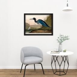 "Artery8 Wall Art Print Audubon Birds America Blue Crane Large Framed Wall Décor Art in Black - Size: W18"" x H24""" - thumbnail 2