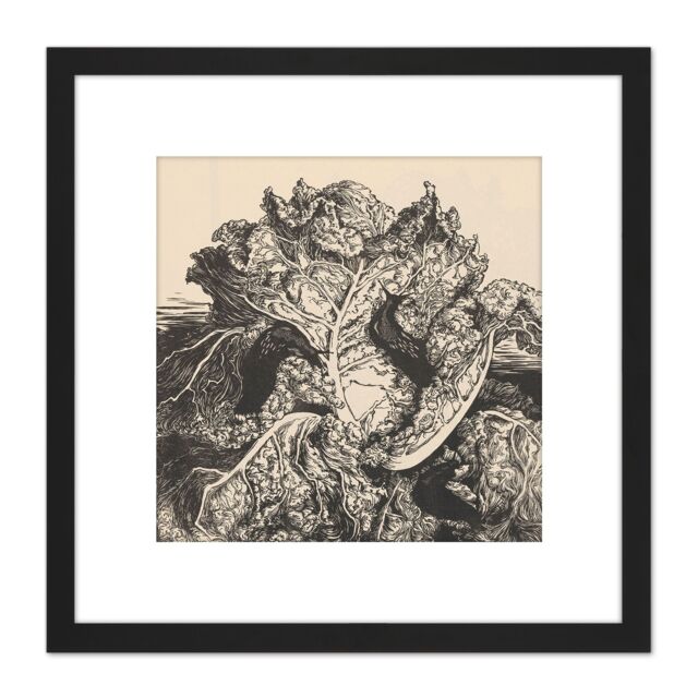 Artery8 Julie De Graag Three Slugs On A Cabbage Woodcut 8X8 Inch Square Wooden Framed Wall Art Print Picture with Mount in Black - image 1