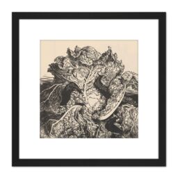 Artery8 Julie De Graag Three Slugs On A Cabbage Woodcut 8X8 Inch Square Wooden Framed Wall Art Print Picture with Mount in Black - thumbnail 1