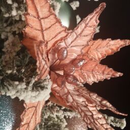 Samuel Alexander 68cm Frosted Light Coral Pink Poinsettia Stem Christmas Decoration - thumbnail 3
