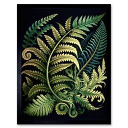 "Artery8 Ernst Haeckel Style Fern Fronds Leaf 12x16"" Framed Art Print in Green - Size: W12"" x H16""" - thumbnail 1