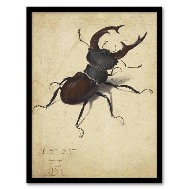 Artery8 Albrecht Durer Stag Beetle Nature Study Painting Framed Wall Art Print in Beige - Size: A4 - image 1