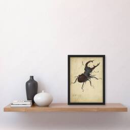 Artery8 Albrecht Durer Stag Beetle Nature Study Painting Framed Wall Art Print in Beige - Size: A4 - thumbnail 2