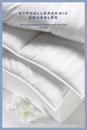 Snuggledown Scandinavian Hollowfibre 13.5 Tog Winter Duvet With 2 Pillows in White - Size: King - thumbnail 4