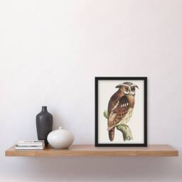 Artery8 Eagle Owl Perched on a Branch Vintage Framed Wall Art Print van Hoytema in Brown - Size: A4 - thumbnail 4