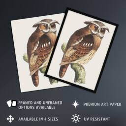Artery8 Eagle Owl Perched on a Branch Vintage Framed Wall Art Print van Hoytema in Brown - Size: A4 - thumbnail 2