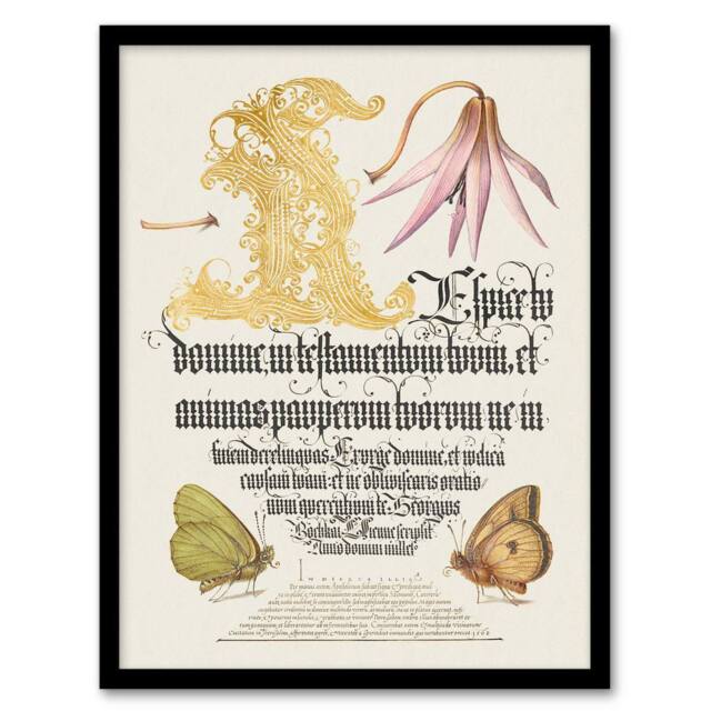 Artery8 Model Book of Calligraphy Framed Wall Art Dog Tooth Violet & Butterflies in White - Size: A4 - image 1