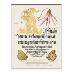 Artery8 Model Book of Calligraphy Framed Wall Art Dog Tooth Violet & Butterflies in White - Size: A4 - thumbnail 3