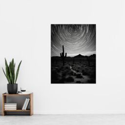 Artery8 Time Lapse Night Sky Star Trails Across The Night Sky Black White Desert Cactus Extra Large XL Unframed Wall Art Poster Print - thumbnail 4