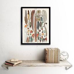 "Artery8 Millot Encyclopedia Page Birds Feathers Plumage 12x16"" Framed Art - Size: W12"" x H16""" - thumbnail 2