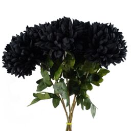 Pegdev Pack of 6 Black Reflex Chrysanthemums 75cm Silk Flowers