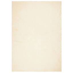 Berkfield Home Rug HUARTE Short Pile Soft & Washable Cream 120x170 cm - Size: Medium - thumbnail 3
