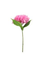 KDMD Essential Pink Arundel Hydrangea 34cm 3 Pack - thumbnail 5